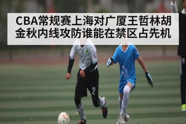 CBA常规赛上海对广厦王哲林胡金秋内线攻防谁能在禁区占先机